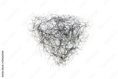 hairy enf|Pubic Hair GIFs .